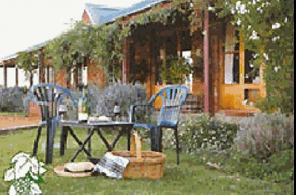 The Vineyard Motel Cowra Exterior foto